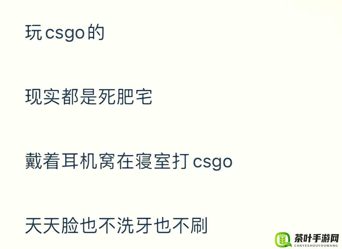 暴躁老阿姨 CSGO 剧情深度解析及精彩解读