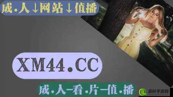 国产爱豆 MD 传媒视频：精彩演绎与独特魅力