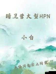 暗卫营大型 HPN 具体功能究竟为何：深入探究其独特作用